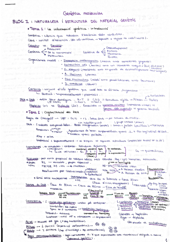 Miniatura del documento RESUMS-LAIA-RAMI.pdf