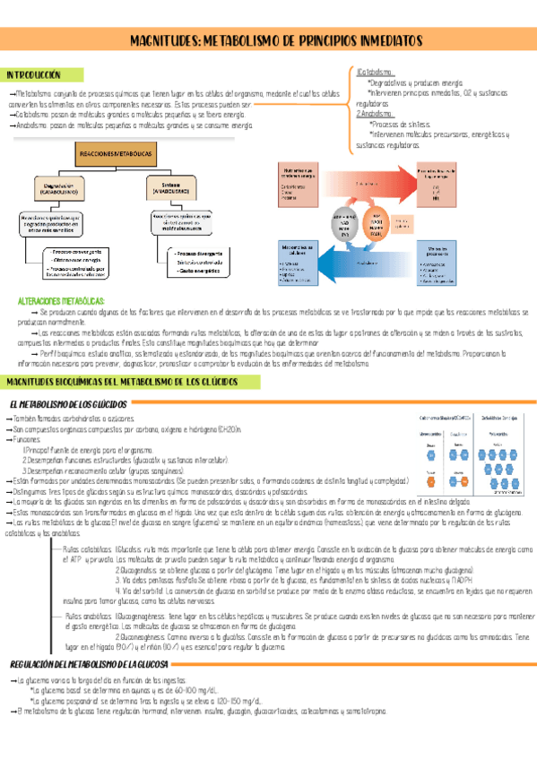 Miniatura del documento Tema-2-Bioquimica-Magnitudes-metabolismo.pdf
