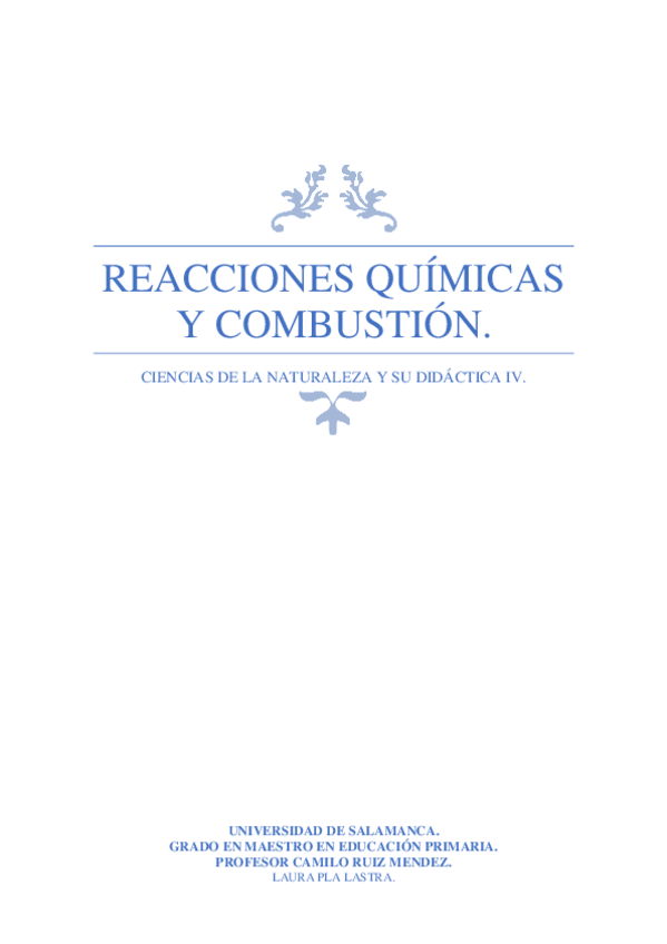Miniatura del documento REACCIONES-QUIMICAS-Y-COMBUSTION.pdf