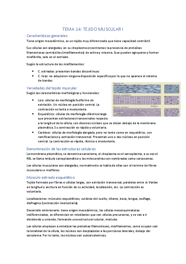 Miniatura del documento Tejido-muscular.pdf