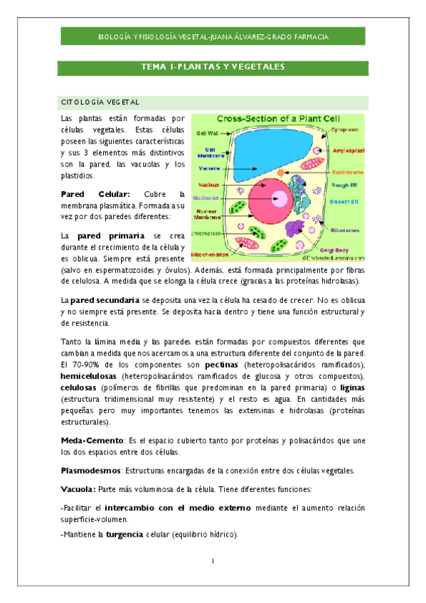 Miniatura del documento TEMA-1.pdf