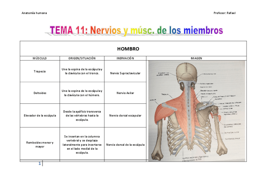 Miniatura del documento tema-11.pdf