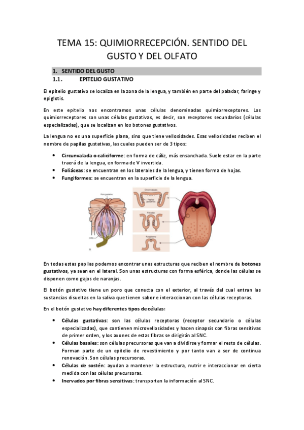 Miniatura del documento TEMA-15.pdf