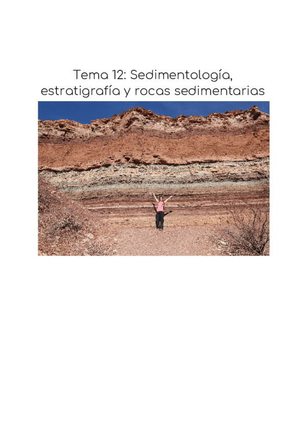 Miniatura del documento Tema-12-ROCAS-EXOGENAS.pdf