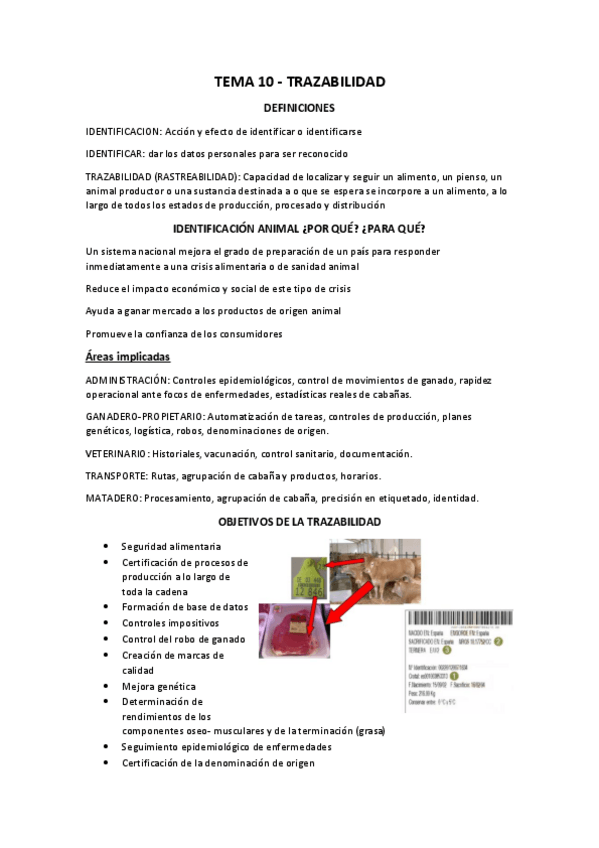 Miniatura del documento BLOQUE-IDENTIFICACION.pdf