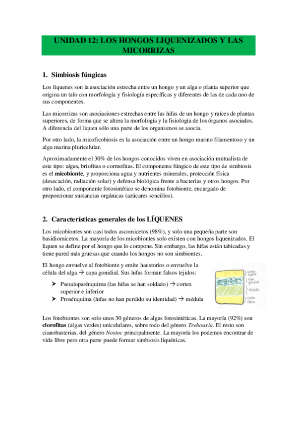 Miniatura del documento TEMA-12-LIQUENES-Y-MICORRIZAS.pdf