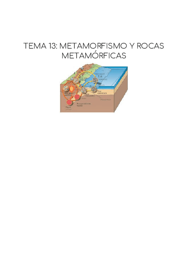 Miniatura del documento TEMA-13-METAMORFISMO-Y-ROCAS-METAMORFICAS.pdf