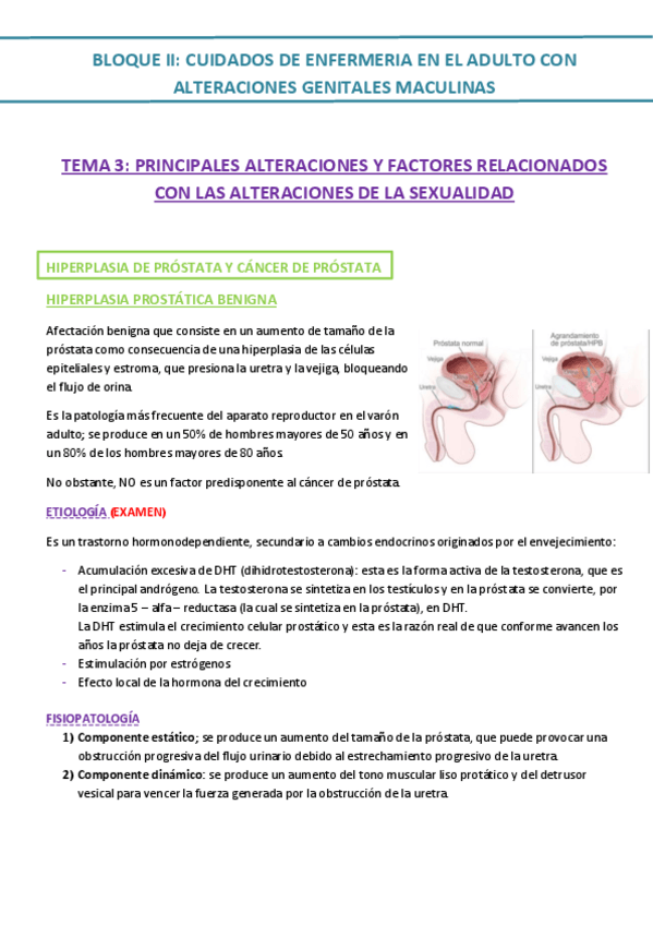 Miniatura del documento TEMA-3.pdf