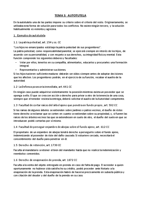 Miniatura del documento Tema 3 - Autotutela.pdf