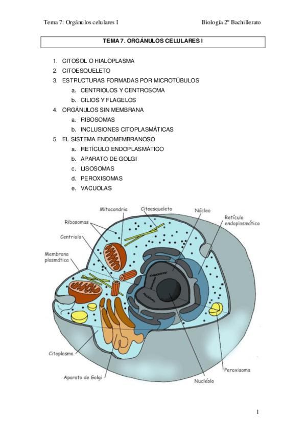 Miniatura del documento TEMA-7.pdf