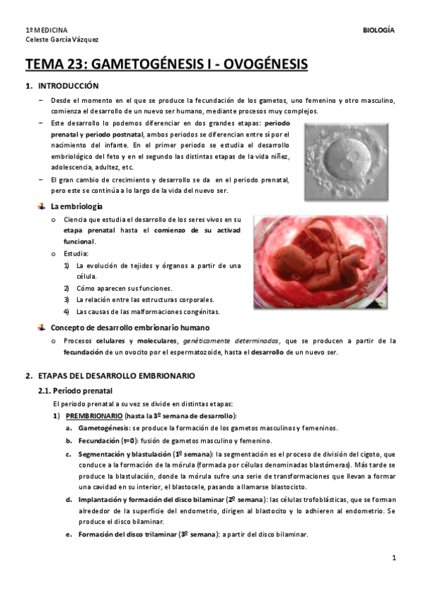 Miniatura del documento TEMA-23-1.pdf