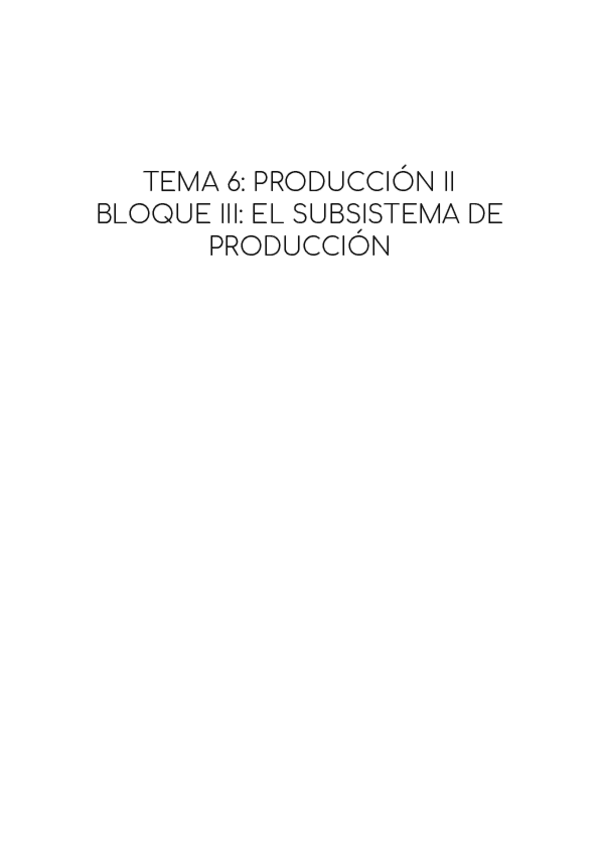 Miniatura del documento TEMA-6-PRODUCCION-II.pdf