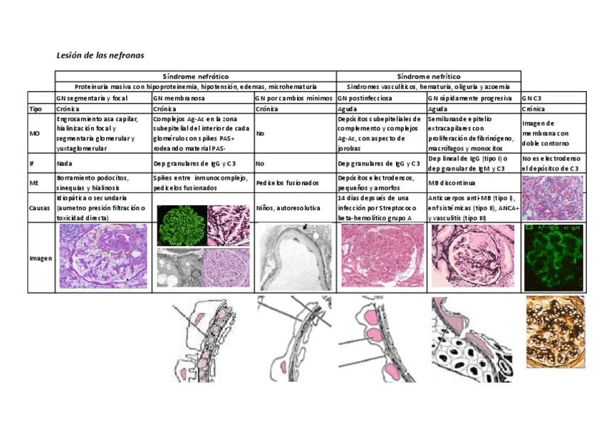 Miniatura del documento GMN.pdf