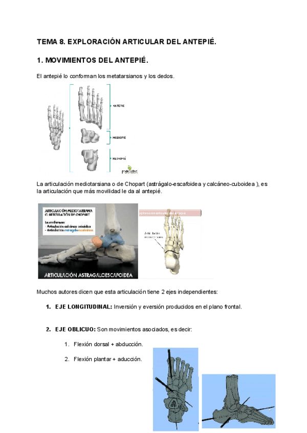 Miniatura del documento TEMA-8-EXPLORACION-ARTICULAR-DEL-ANTEPIE.pdf