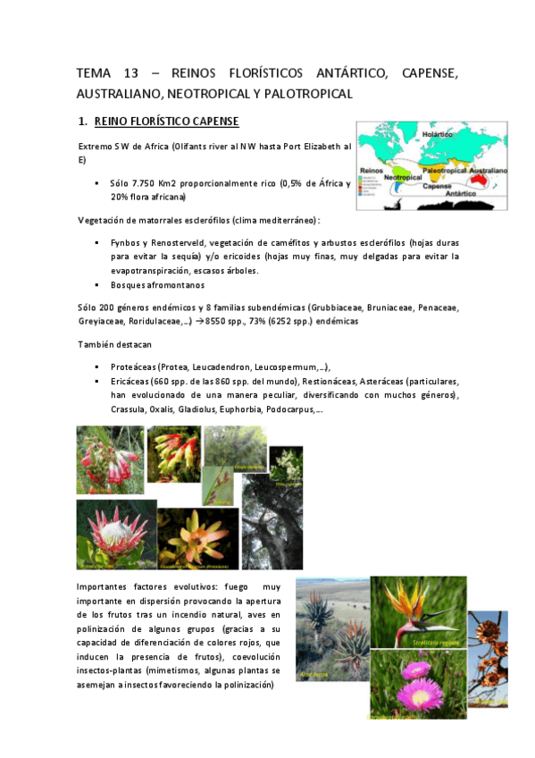 Miniatura del documento TEMA-13-apuntes.pdf