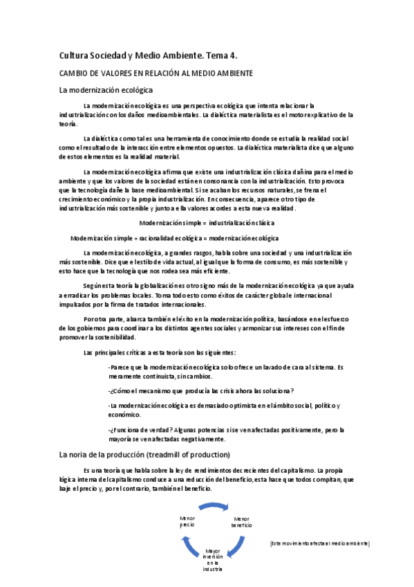 Miniatura del documento Cultura Tema 4.pdf