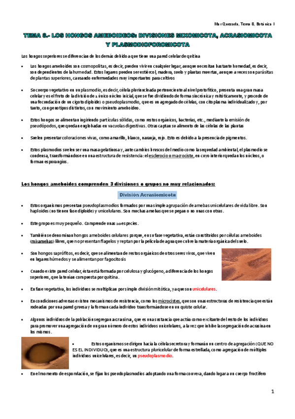 Miniatura del documento TEMA-8.pdf