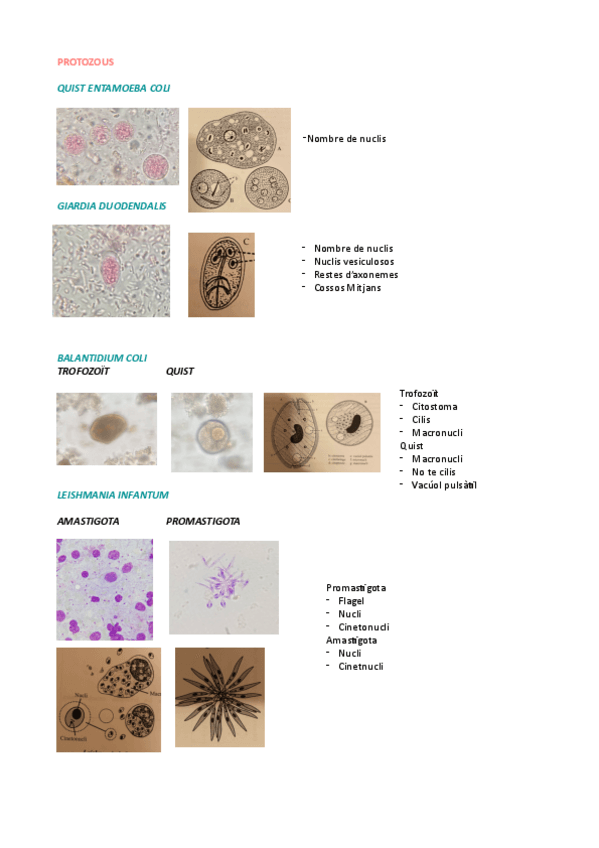 Miniatura del documento Practica-6.pdf