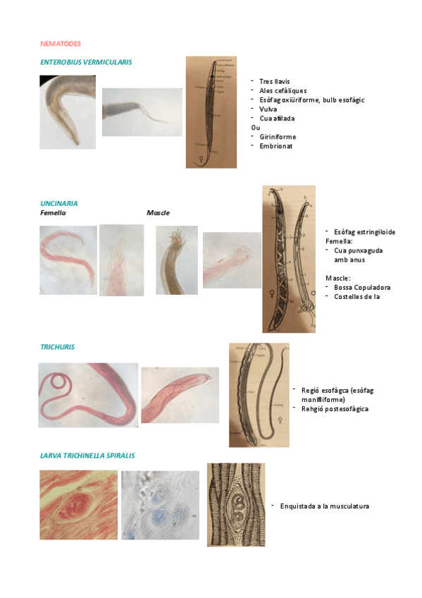 Miniatura del documento Practica-5.pdf