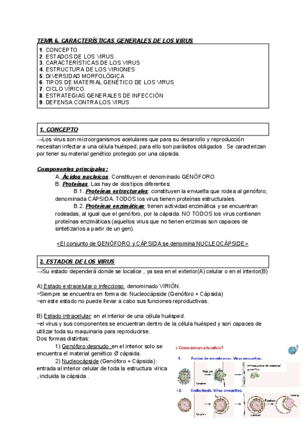 Miniatura del documento Tema-6-Micro.pdf