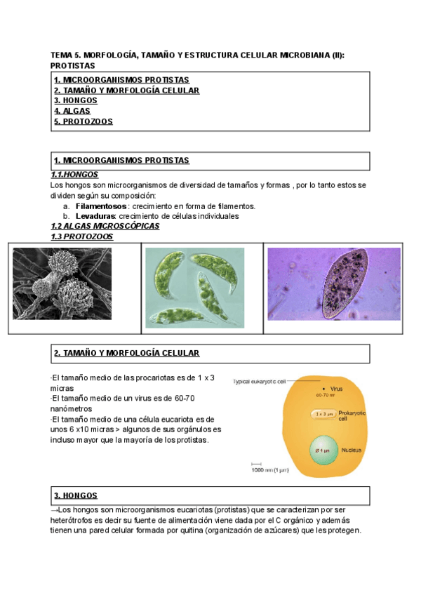 Miniatura del documento Tema-5-Micro.pdf