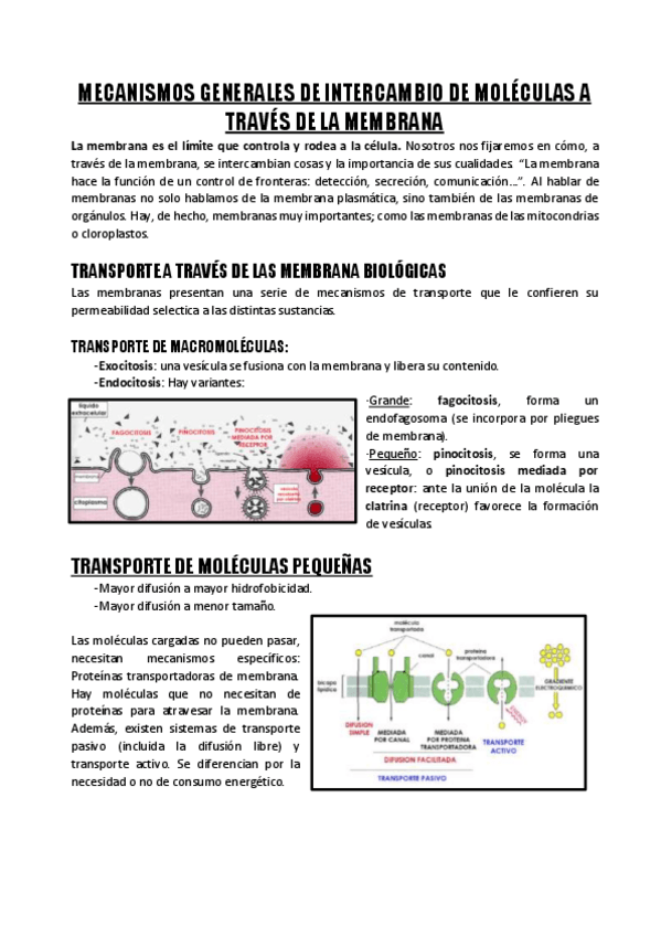 Miniatura del documento Tema-2.pdf