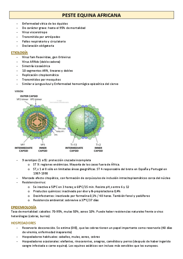Miniatura del documento PESTE-EQUINA-AFRICANA.pdf