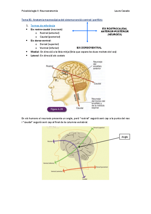 Miniatura del documento Tema B1.pdf