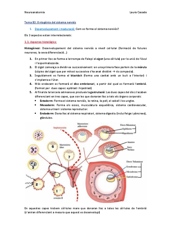Miniatura del documento Tema B3_Complet.pdf
