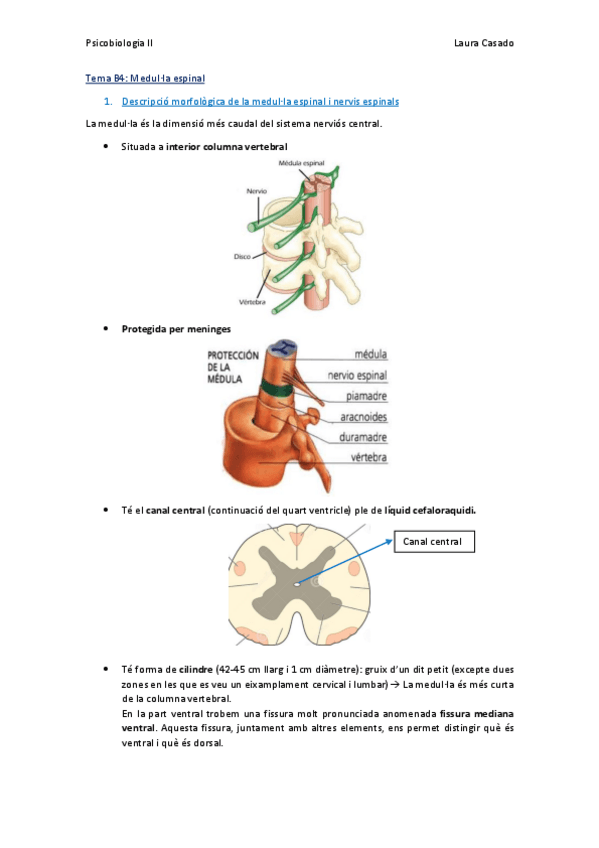 Miniatura del documento Tema B4.pdf