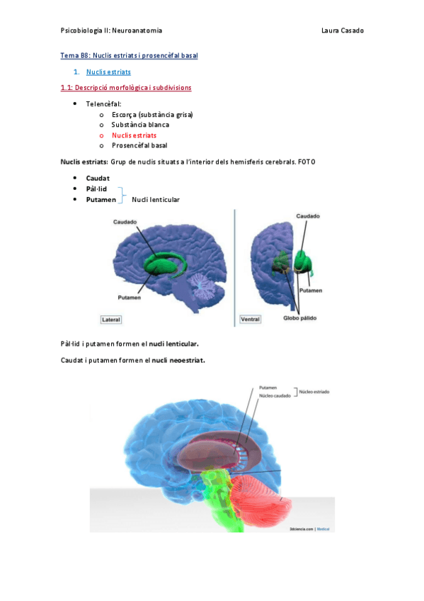Miniatura del documento Tema B8.pdf
