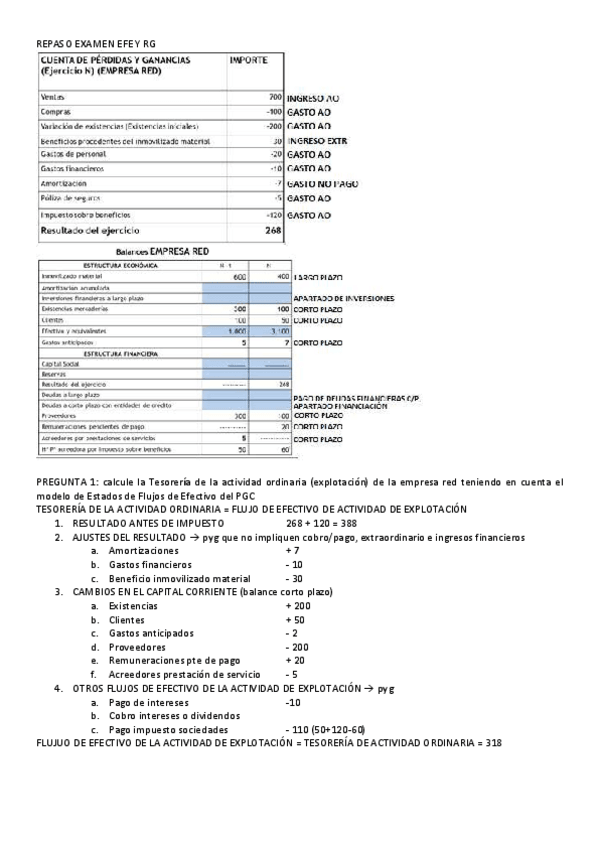 Miniatura del documento REPASO-EXAMEN-RG-Y-EFE.pdf