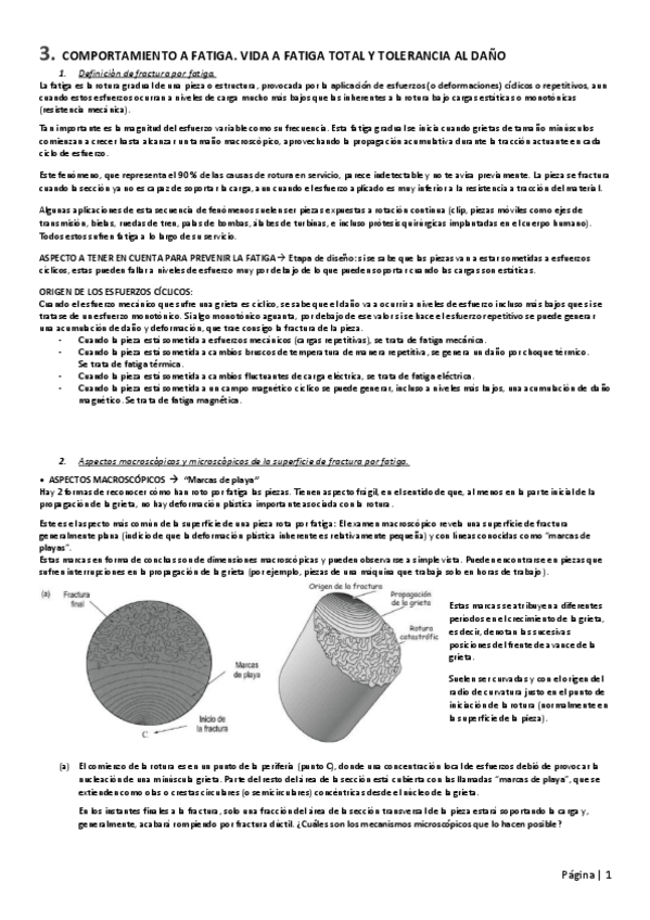 Miniatura del documento COMPORTAMIENTO-A-FATIGA.pdf