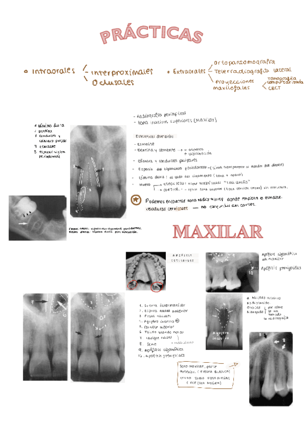 Miniatura del documento practicass.pdf