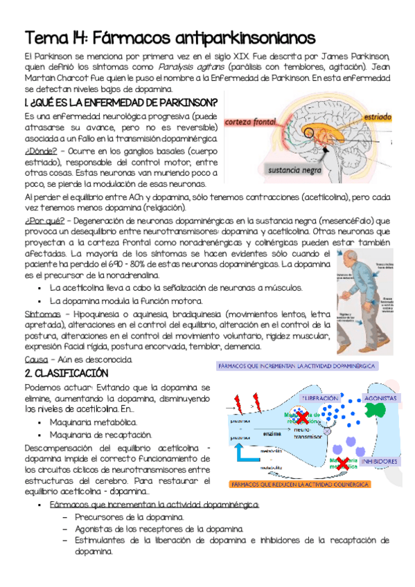 Miniatura del documento T14-Antiparkinsonianos.pdf