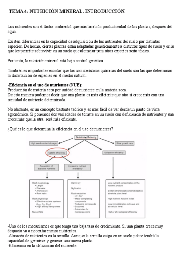 Miniatura del documento NUTRICION-MINERAL.pdf