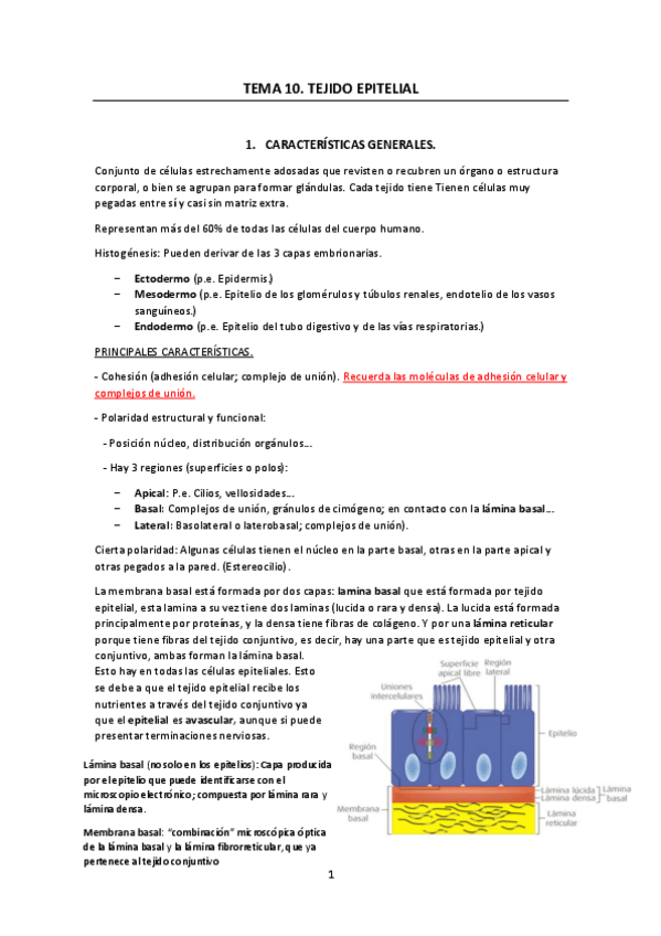 Miniatura del documento Tema-10.pdf