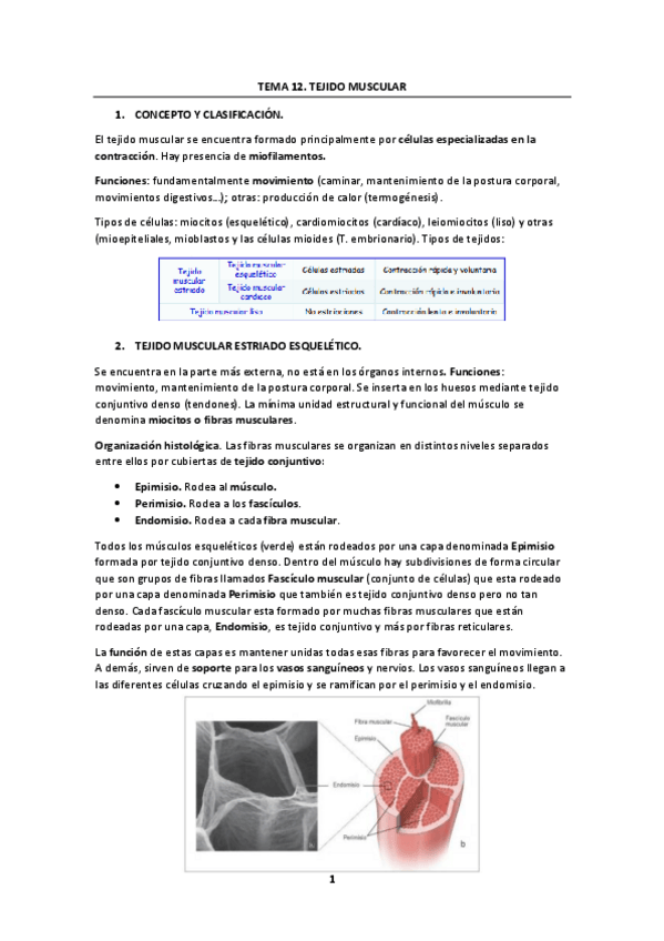 Miniatura del documento Tema-12.pdf