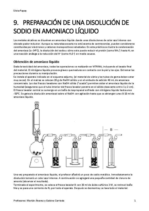 Miniatura del documento SODIO-EN-AMONIACO-LIQUIDO-9.pdf