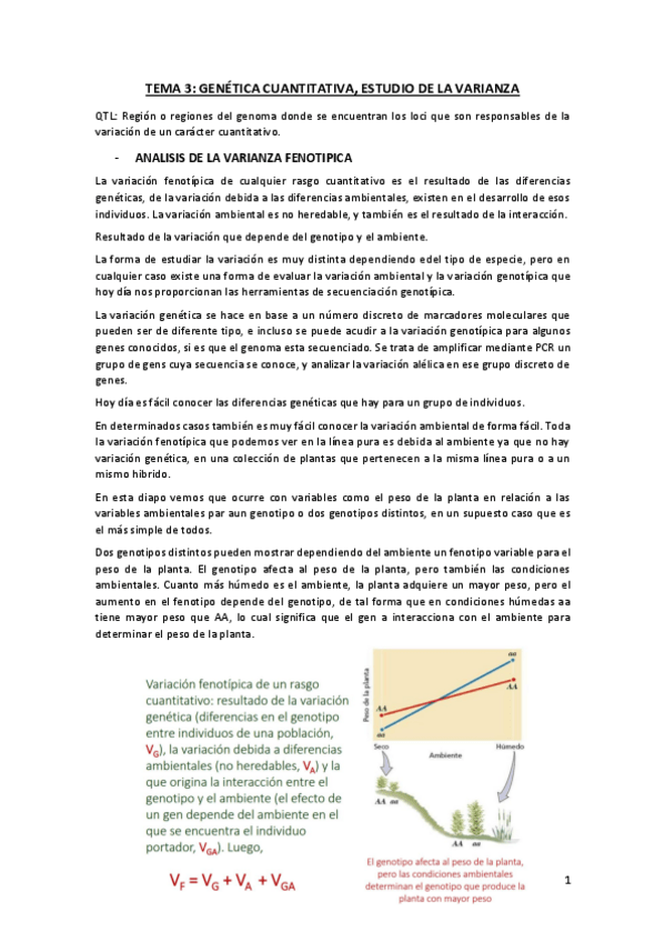 Miniatura del documento Tema-3-2020.pdf