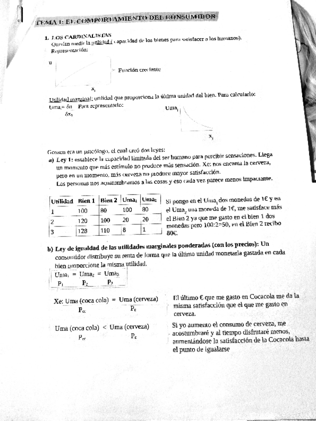 Miniatura del documento resumen-tema-1.pdf