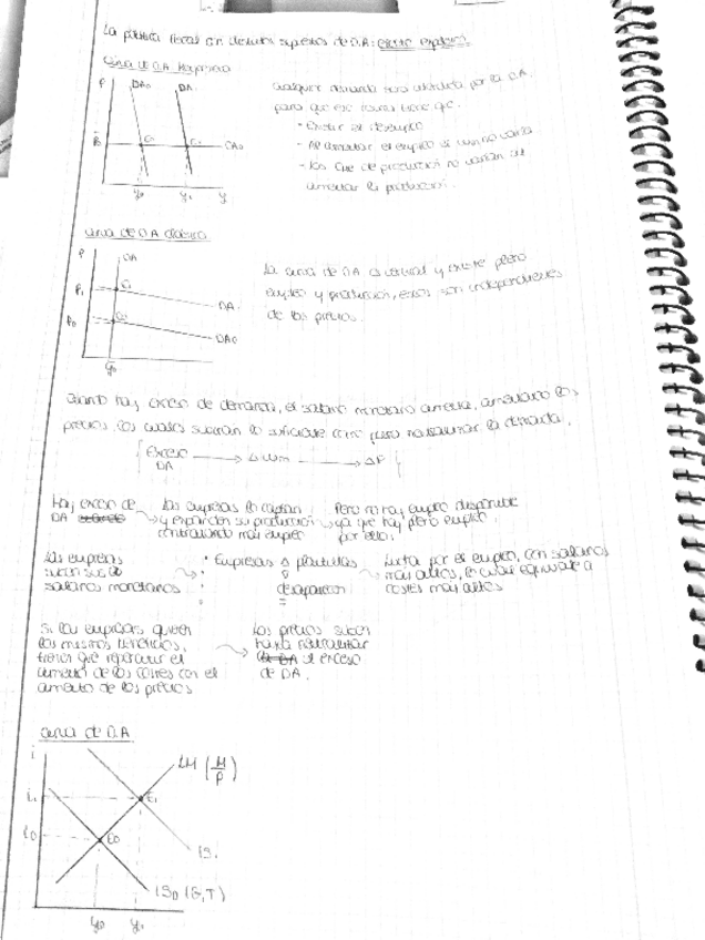 Miniatura del documento efecto-expulsion.pdf