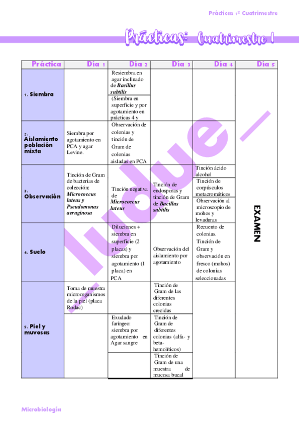 Miniatura del documento Practicas-Microbiologia-1o-Cuatrimestre.pdf