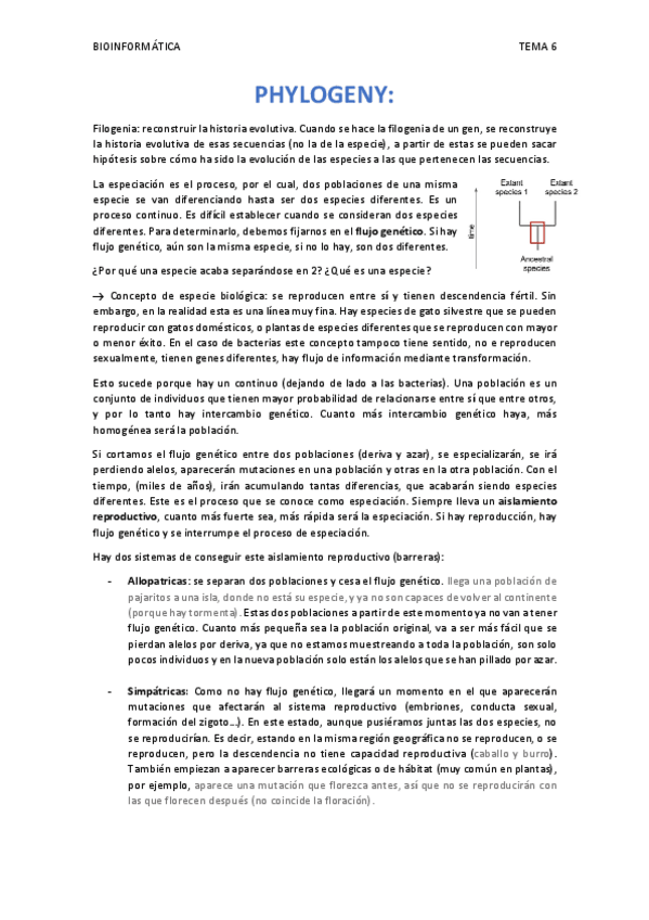 Miniatura del documento TEMA-6-filogenia.pdf