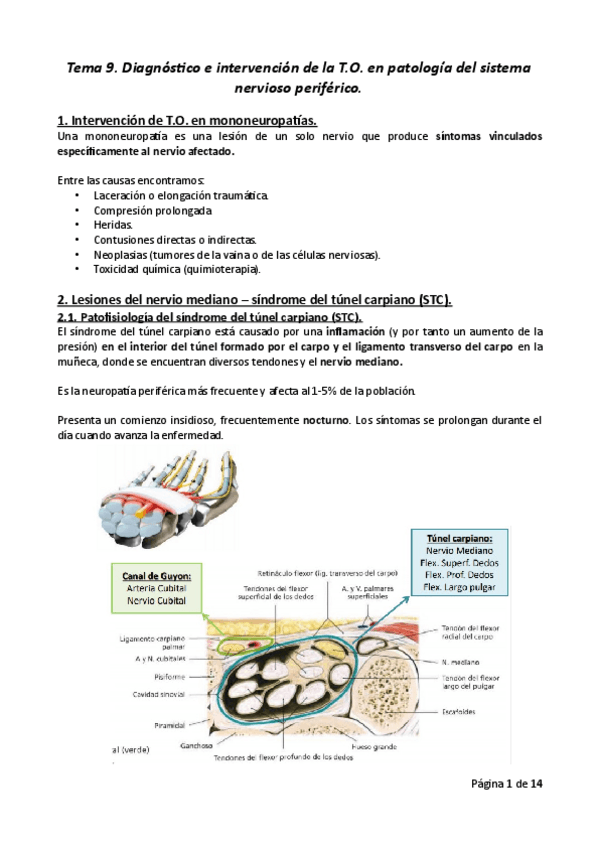 Miniatura del documento Tema-9.pdf