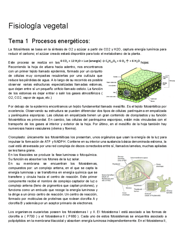 Miniatura del documento Fisiologia-vegetal-1.pdf