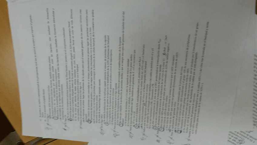 Miniatura del documento IMG-20160912-WA0002.jpg