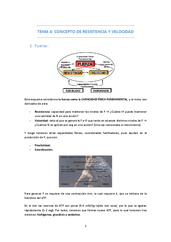 Miniatura del documento TEMA-6-CONCEPTO-DE-RESISTENCIA-Y-VELOCIDAD.pdf