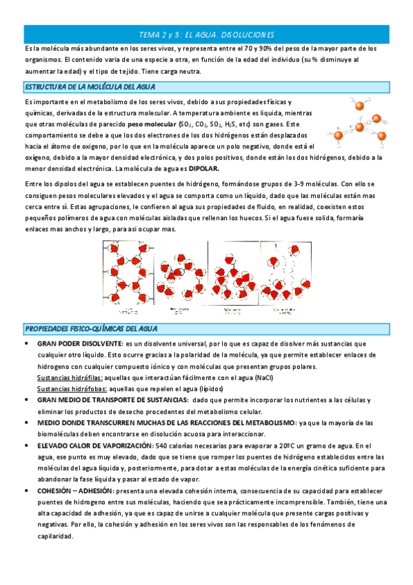Miniatura del documento TEMA-2-y-3-COMPLETO.pdf