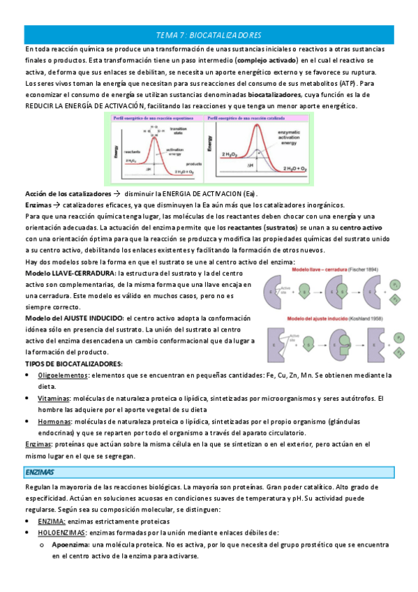 Miniatura del documento TEMA-7-COMPLETO.pdf